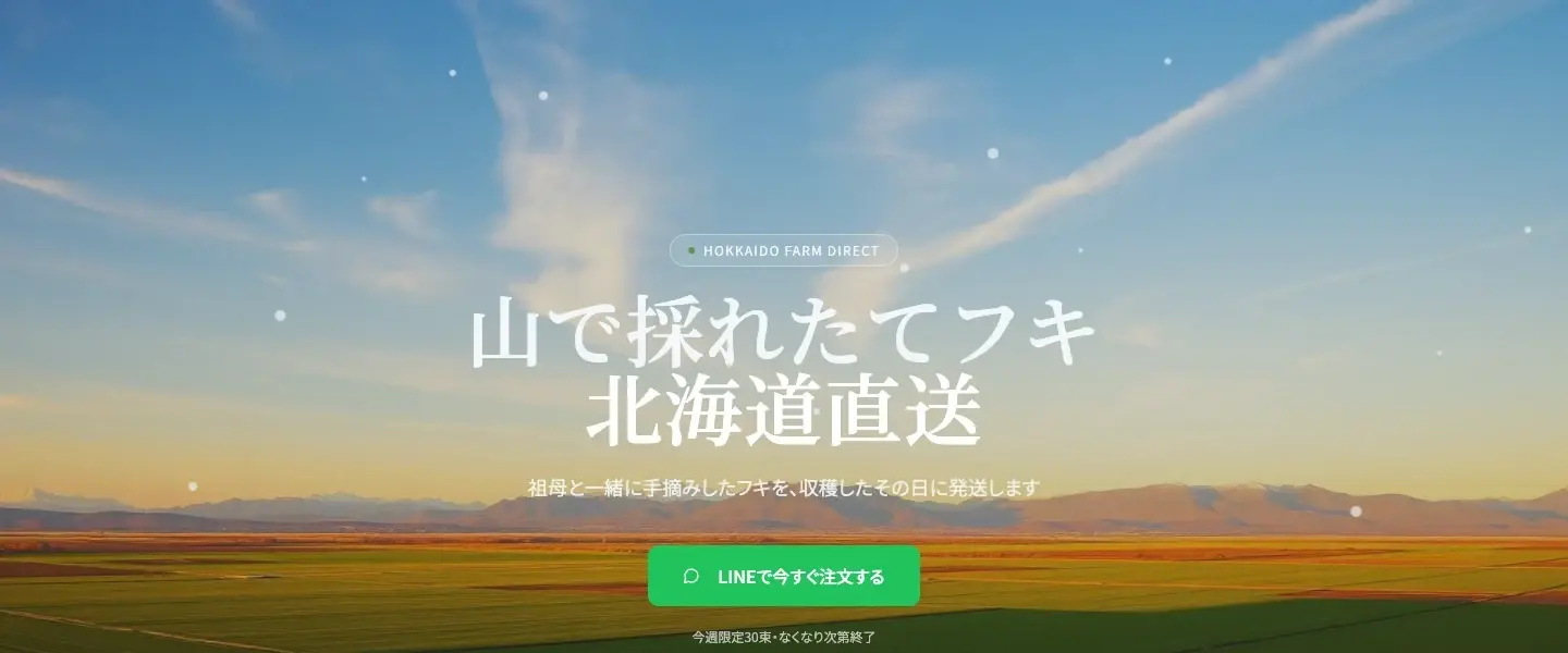 関連事業向けLPの実際のファーストビュー。商品説明と注文ボタン。